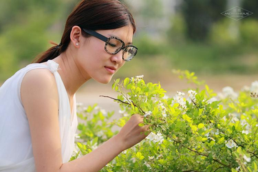 好看的网址导航
